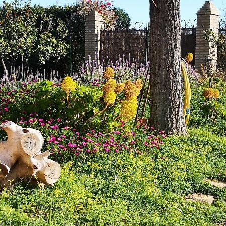 Casa Los Jinetes Carmona Kültér fotó