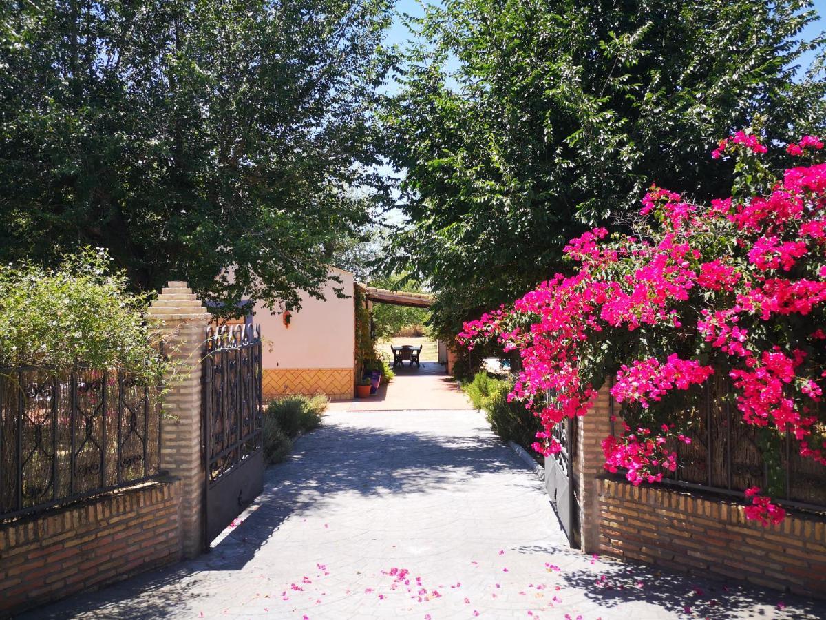 Casa Los Jinetes Carmona Kültér fotó